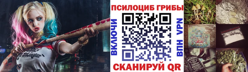 Купить  Прокопьевск  Псилоцибиновые грибы Psilocybe 